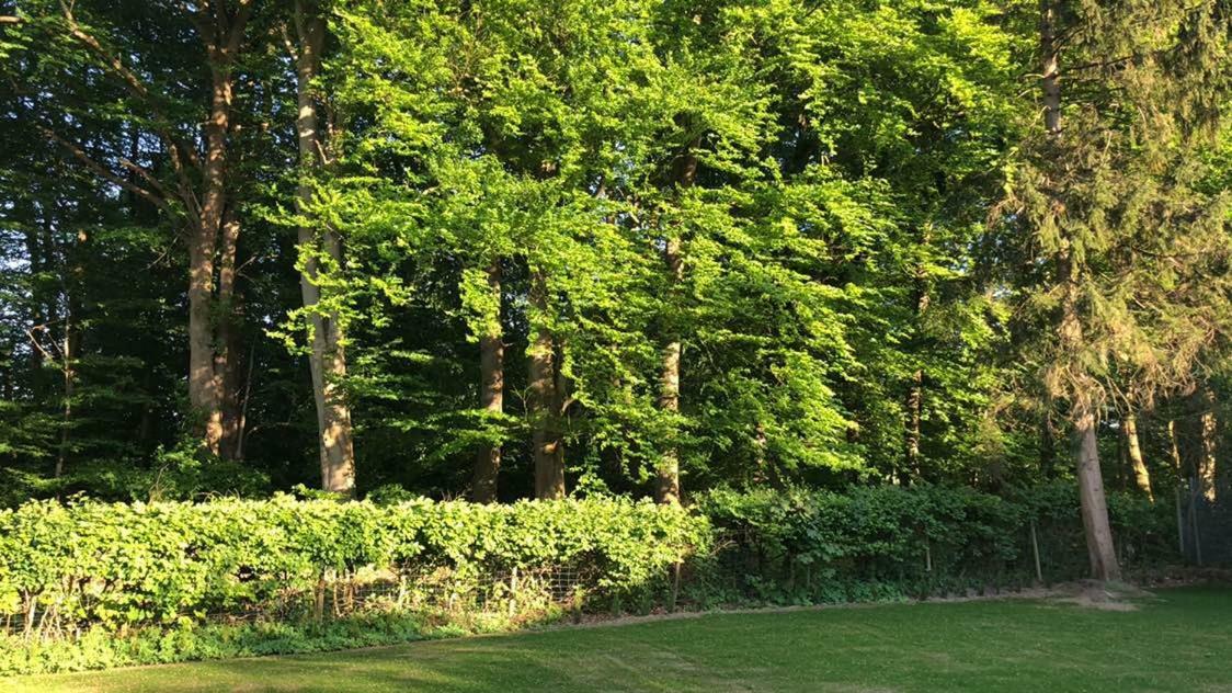 Ferienhaus Baek-Ratzeburg Bak Екстериор снимка